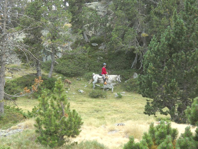 Gite-3j-Famille_diap0046