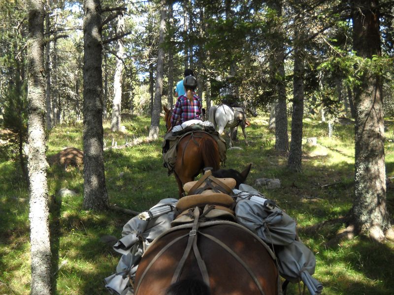 Gite-3j-Famille_diap0114