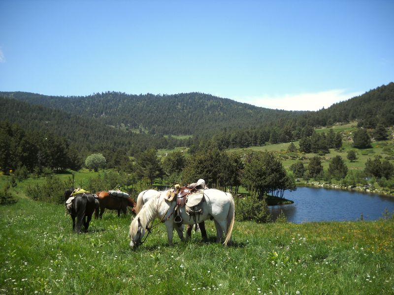 Gite-4j-Capcir-Diap00020