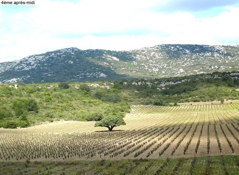 Gite-5j-Corbières-Diap00038