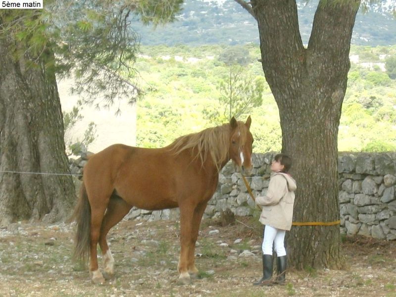 Gite-5j-Corbières-Diap00042