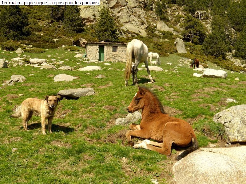 bivouac_2j_conv_print_diap0016