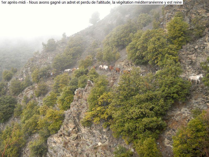 bivouac_3j_transh_hiver_diap0020