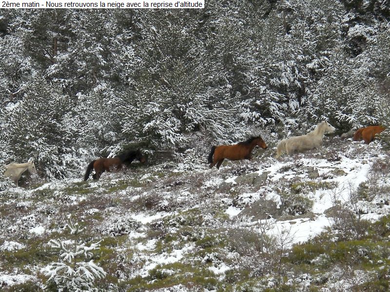 bivouac_3j_transh_hiver_diap0032