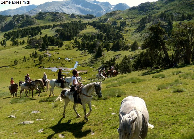 bivouac_4j_famille_diap120