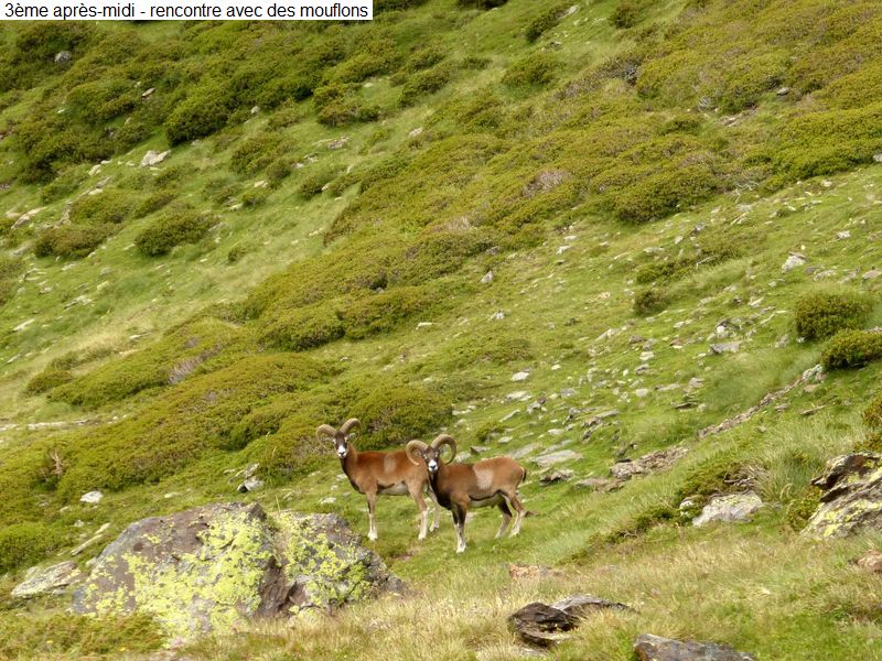 bivouac_4j_famille_diap200