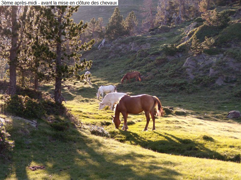 bivouac_4j_famille_diap220