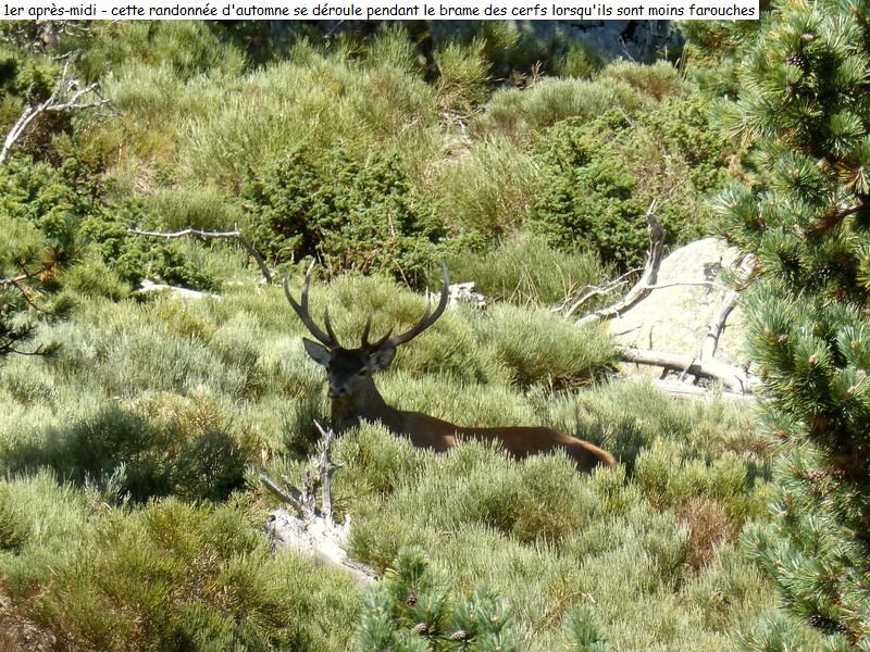 bivouac_4j_madres_diap0012