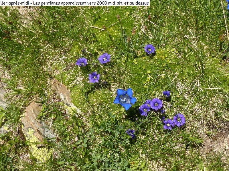 bivouac_5j_miroirs_diap000560