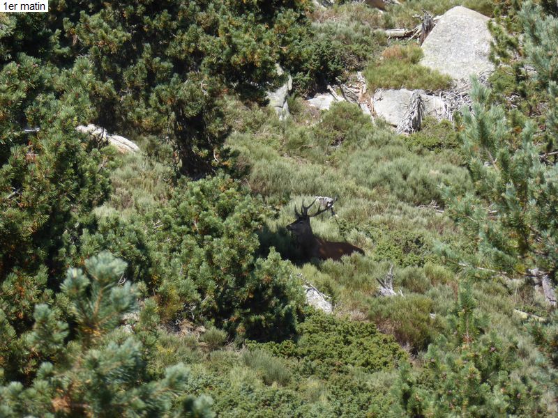 gite_2j_brame_diap0020