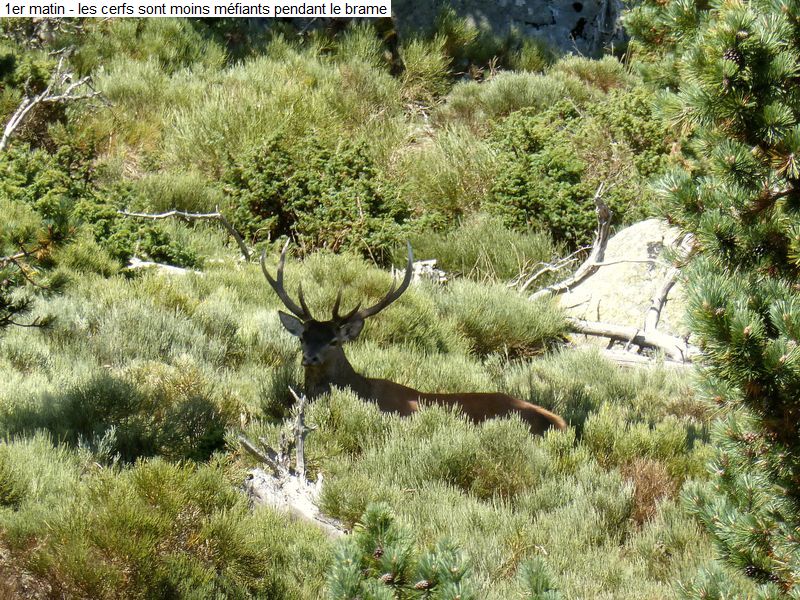 gite_2j_brame_diap0026