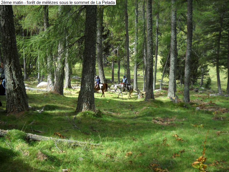 gite_2j_brame_diap0110