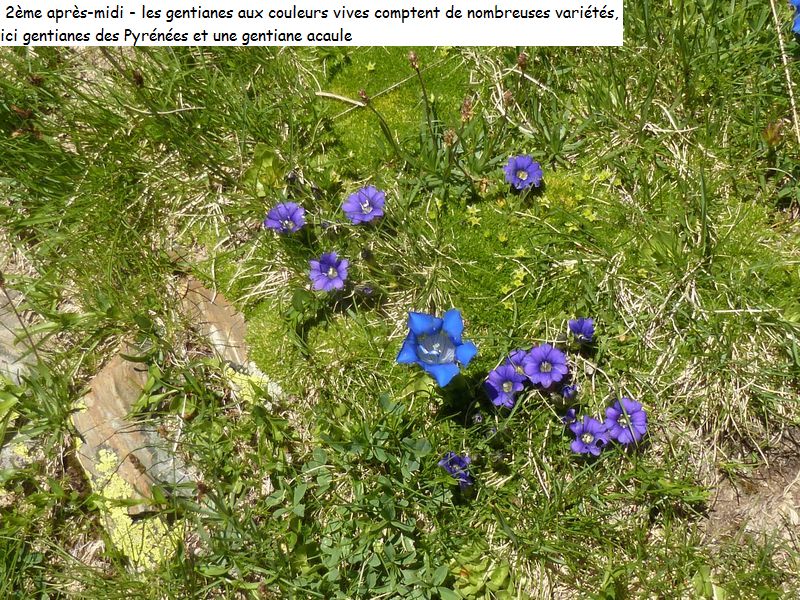 gite_3j_camporells_diap0054