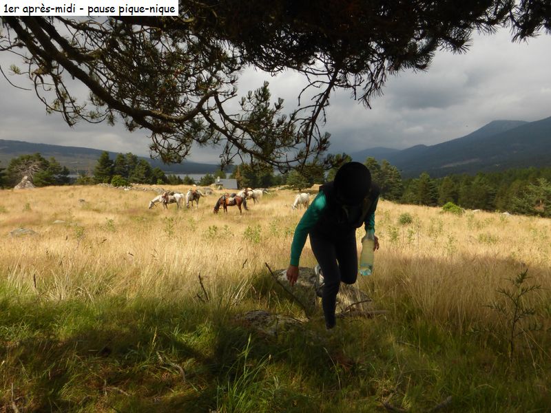 gite_3j_capcir_diap046