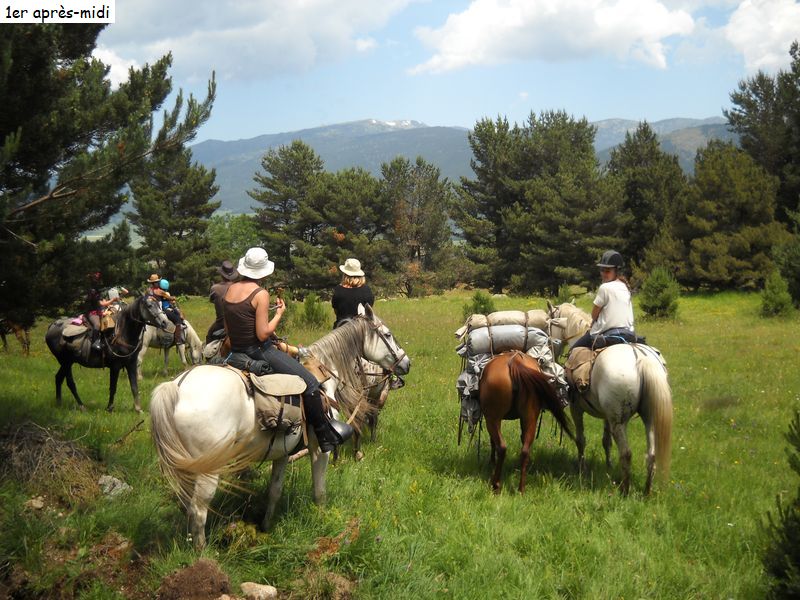 gite_3j_capcir_diap060