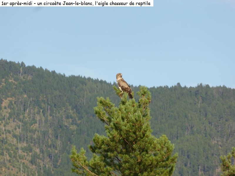 gite_3j_capcir_diap070