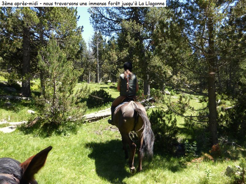 gite_3j_capcir_diap294