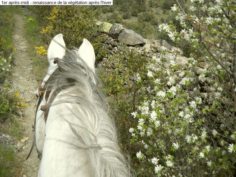 gite_3j_fenouilledes_diap0014