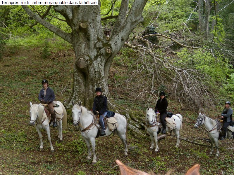 gite_3j_fenouilledes_diap0026