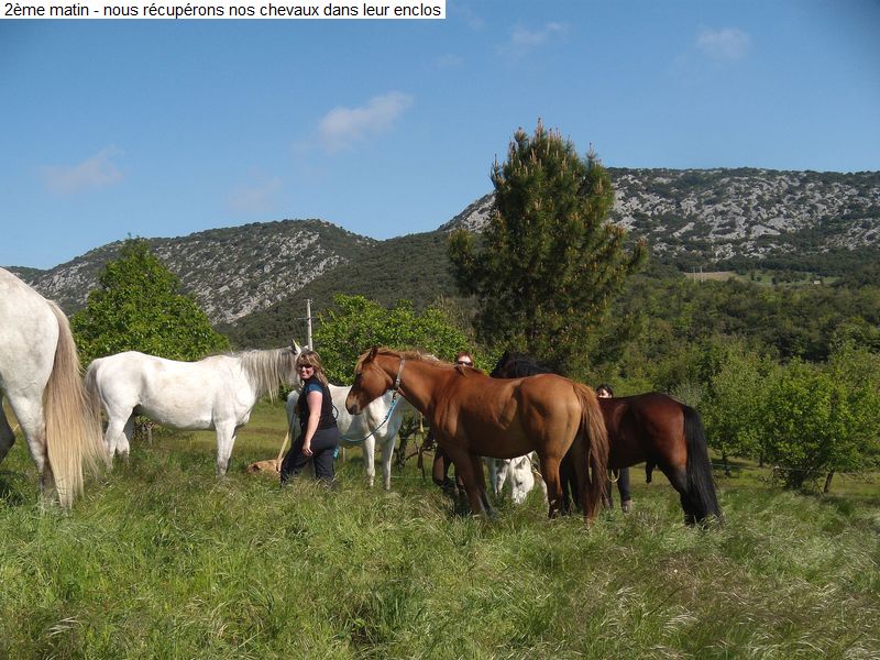 gite_3j_fenouilledes_diap0050