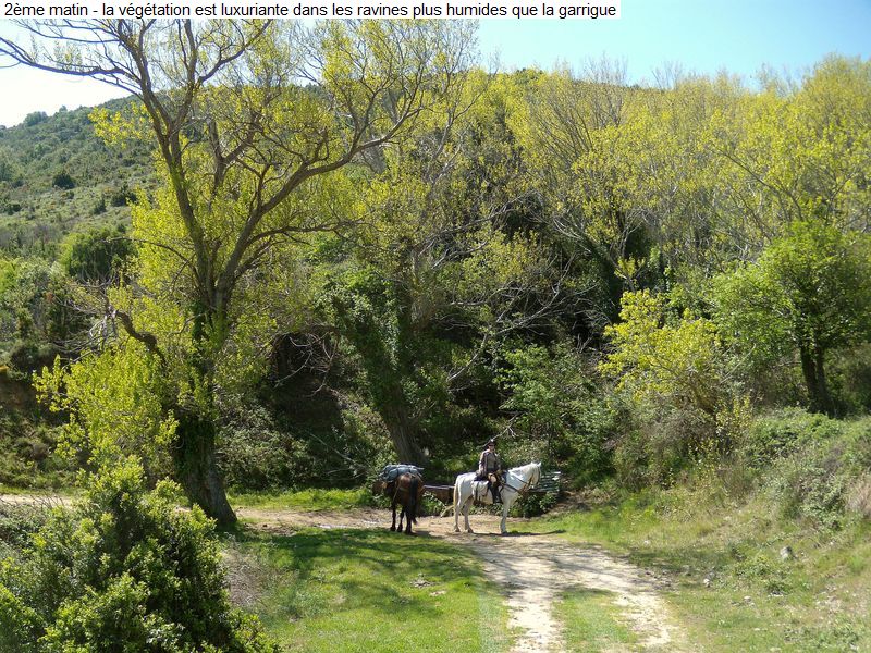 gite_3j_fenouilledes_diap0056