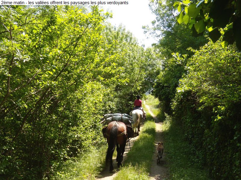 gite_3j_fenouilledes_diap0074