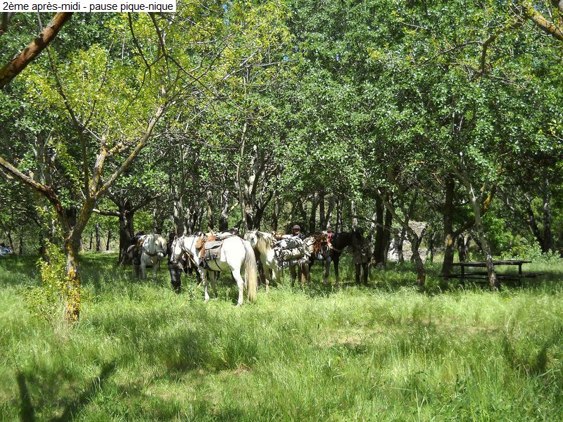 gite_3j_fenouilledes_diap0080