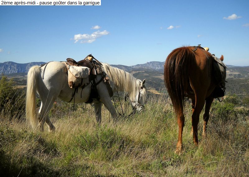 gite_3j_fenouilledes_diap0110