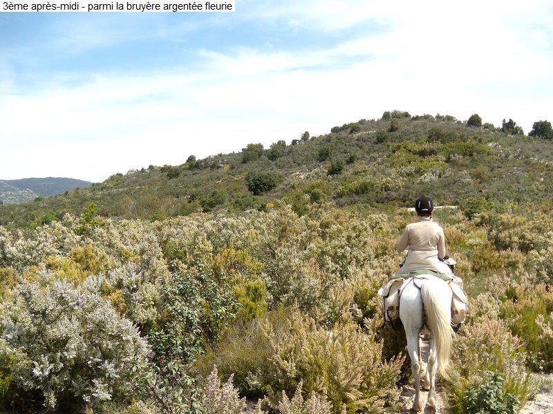 gite_3j_fenouilledes_diap0152