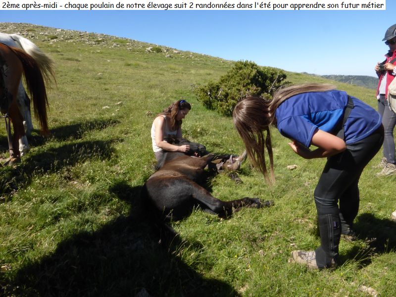 gite_3j_garrotxes_diap00690