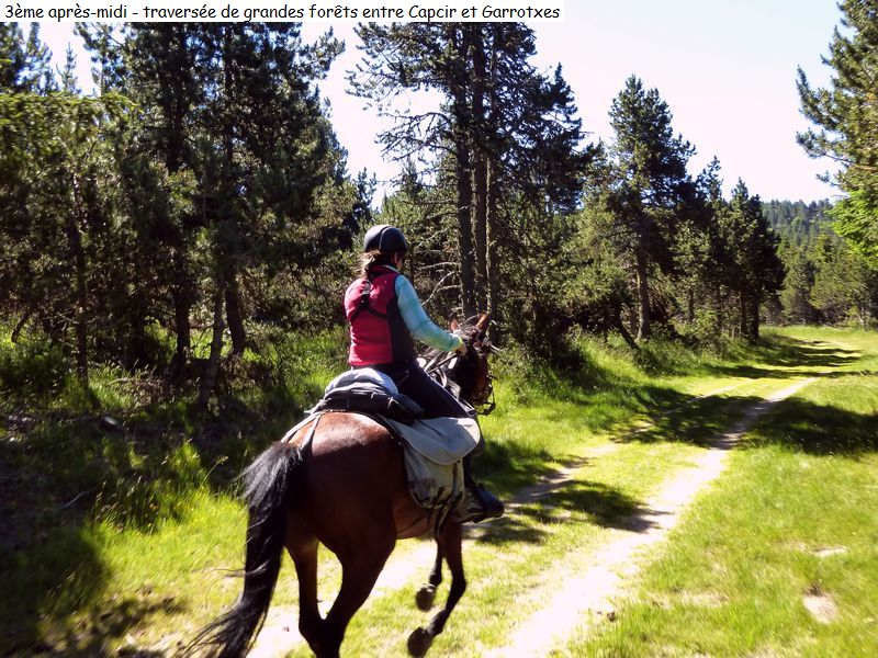 gite_3j_garrotxes_diap01090