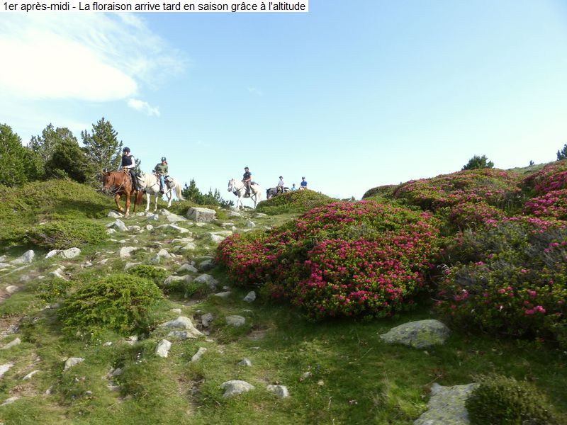 gite_3j_lacs_carlit_diap0032