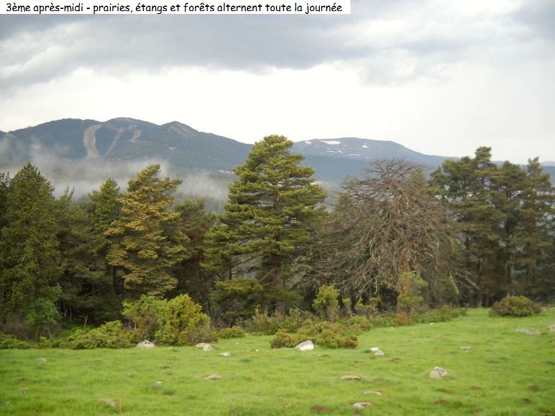 gite_3j_sansa_espousouille_diap154