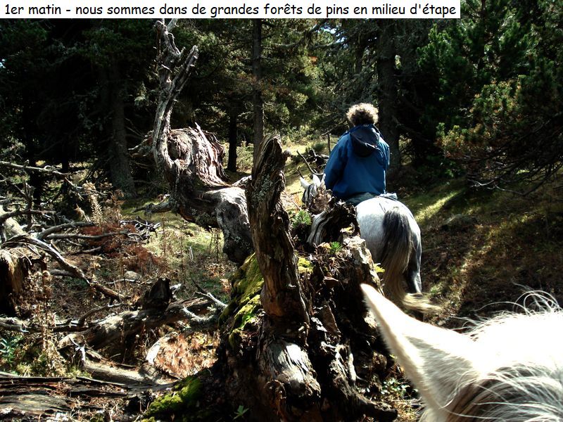 gite_5j_conflent_diap00560