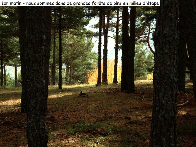 gite_5j_conflent_diap00760