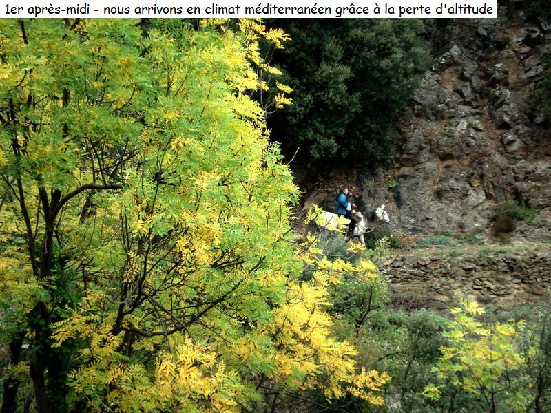 gite_5j_conflent_diap01060