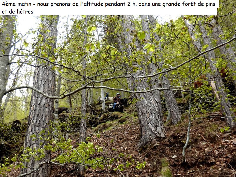 gite_5j_conflent_diap05260