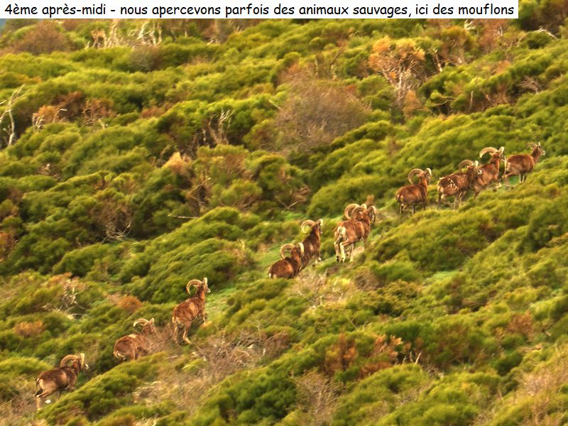 gite_5j_conflent_diap05760