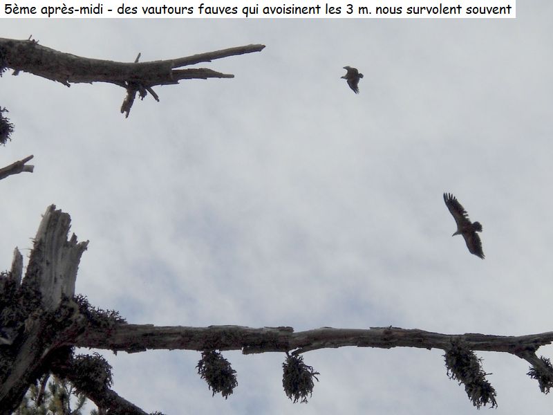 gite_5j_conflent_diap08160