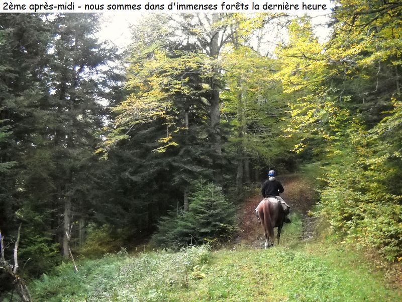 gite_5j_donezan_diap204