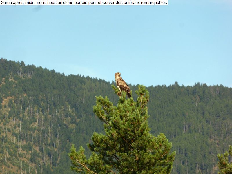 gite_5j_garrotxes_capcir_cerdagne_diap0540