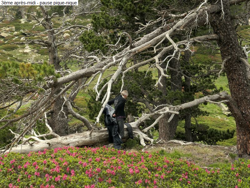 gite_5j_garrotxes_capcir_cerdagne_diap0740