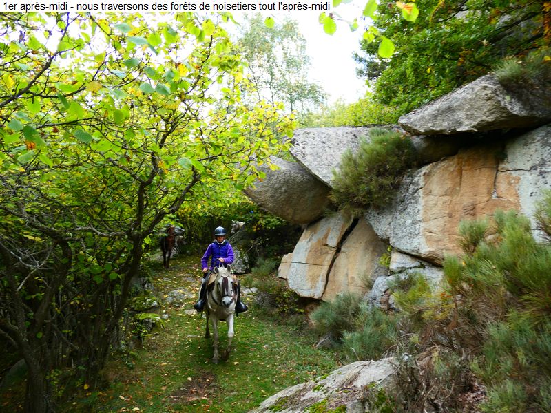 gite_7j_garrotxes_capcir_cerdagne_diap020