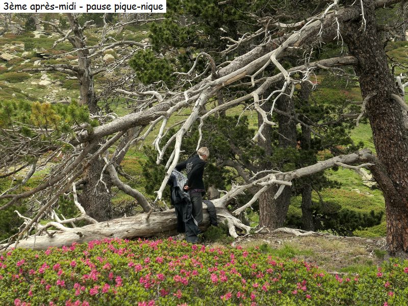 gite_7j_garrotxes_capcir_cerdagne_diap088