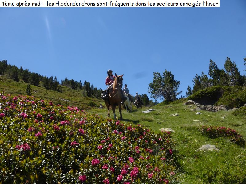 gite_7j_garrotxes_capcir_cerdagne_diap124