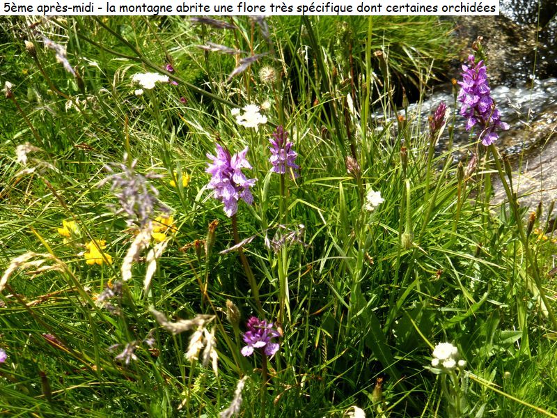 gite_7j_garrotxes_capcir_cerdagne_diap184