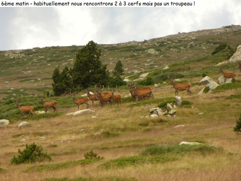 gite_7j_garrotxes_capcir_cerdagne_diap200