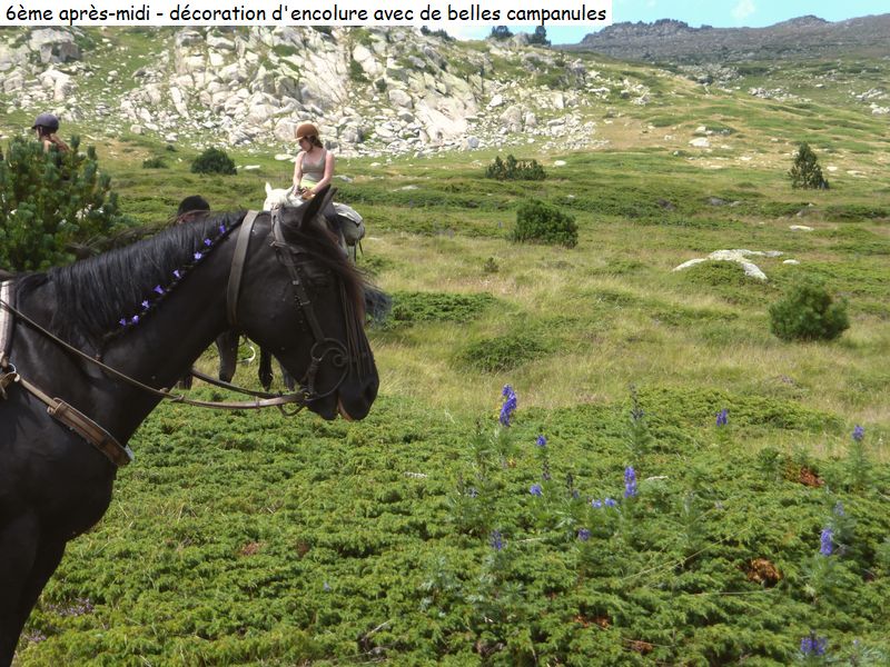 gite_7j_garrotxes_capcir_cerdagne_diap216