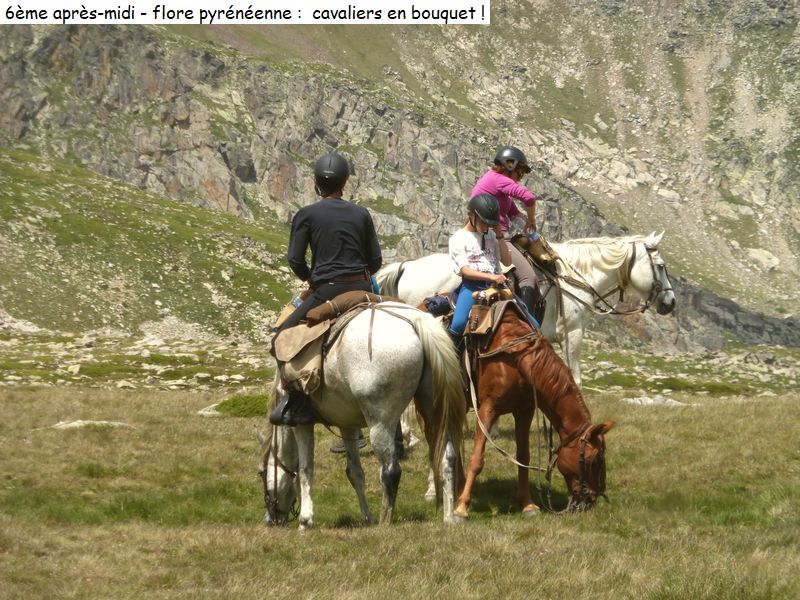 gite_7j_garrotxes_capcir_cerdagne_diap240