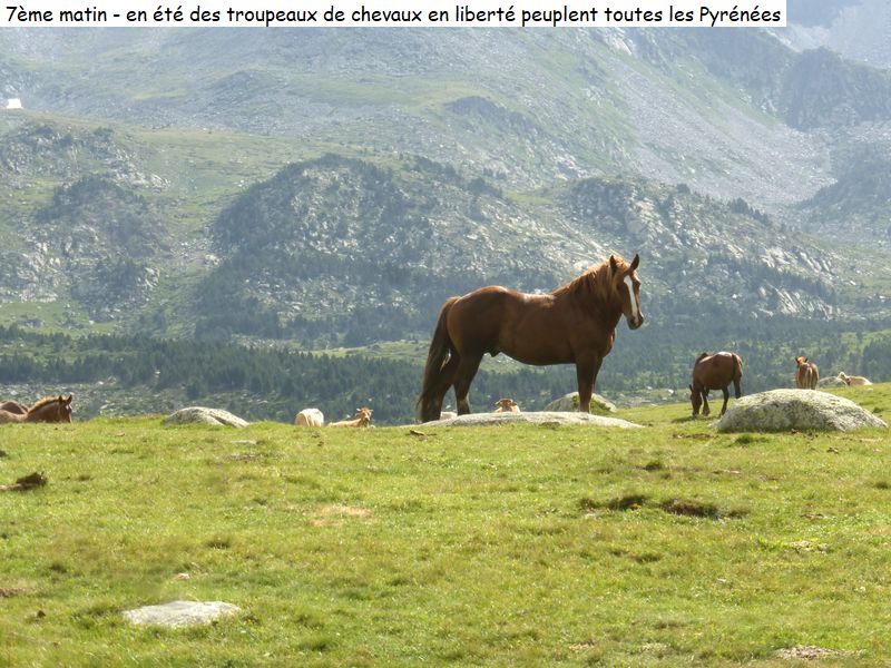 gite_7j_garrotxes_capcir_cerdagne_diap252